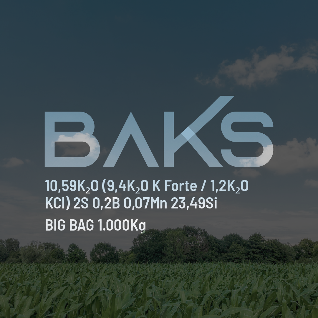 BAKS 10,59K2O (9,4K2O K Forte/1,2K2O KCl) 2S 0,2B 0,07Mn 23,49Si - Big Bag - 0